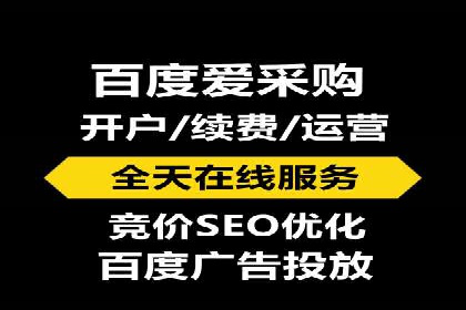 SEM推广实战：成功案例解读与策略调整